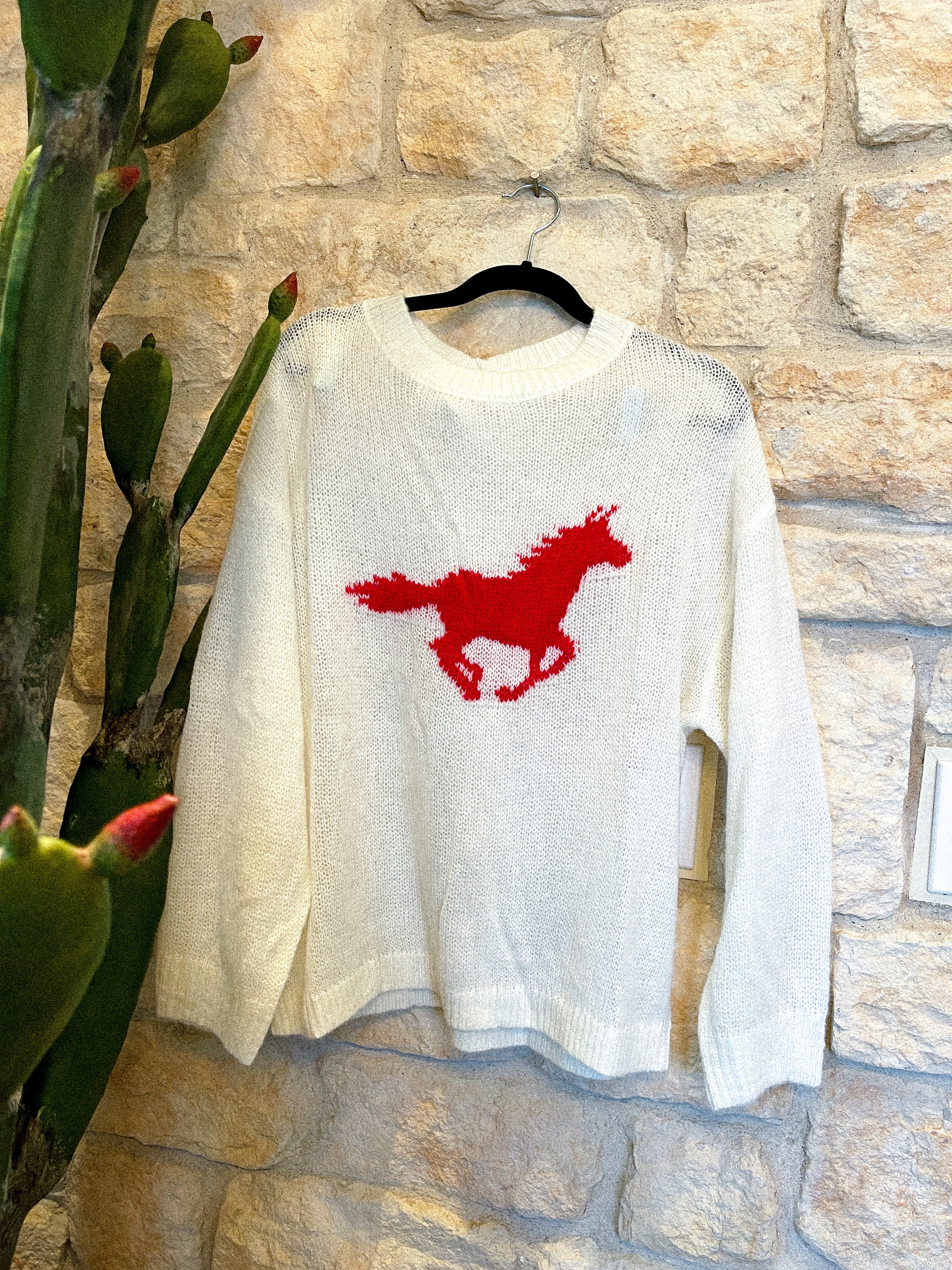 Wild mustang sweater