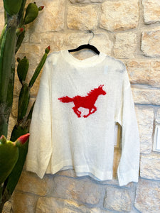 Wild mustang sweater
