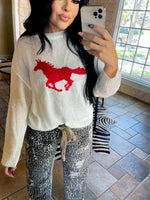 Load image into Gallery viewer, Wild mustang sweater
