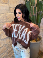 Load image into Gallery viewer, Texas knit sweater
